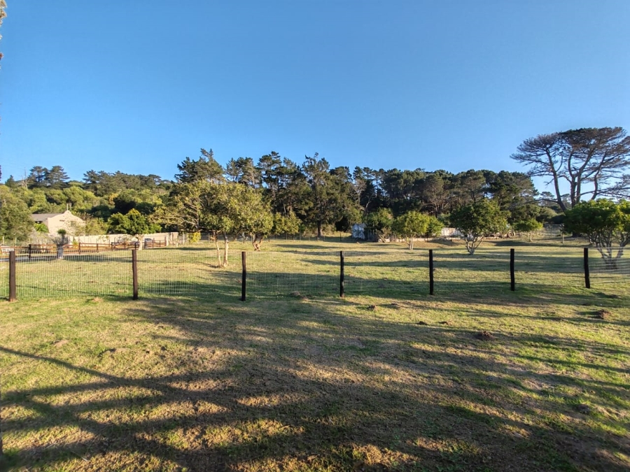 Commercial Property for Sale in Colleen Glen Eastern Cape